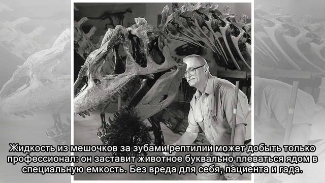 15 странных профессий, за которые платят очень даже реальные деньги