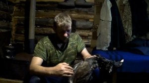 Регион 88 | Секреты таежников. Глухарь