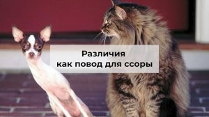 Виктория Дубинская «Различия как повод для ссоры»