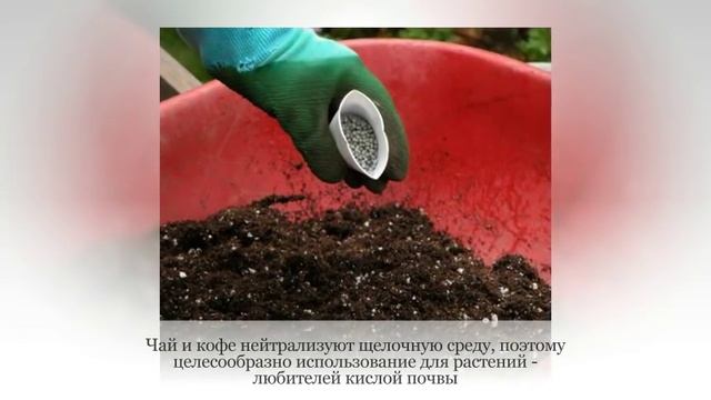 УДОБРЕНИЯ для комнатных растений СВОИМИ РУКАМИ