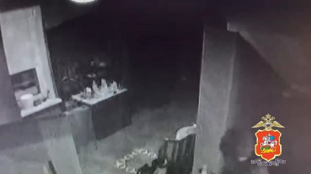 Подмосковные и столичные полицейские задержали в Тульской области серийных воров