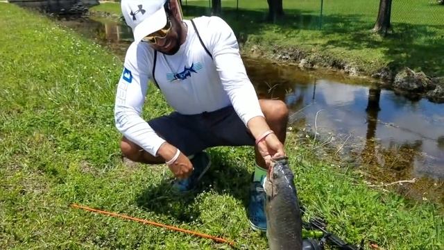 BOWFISHING for INVASIVE FISH with New HIGH-TECH BOW! смотреть онлайн