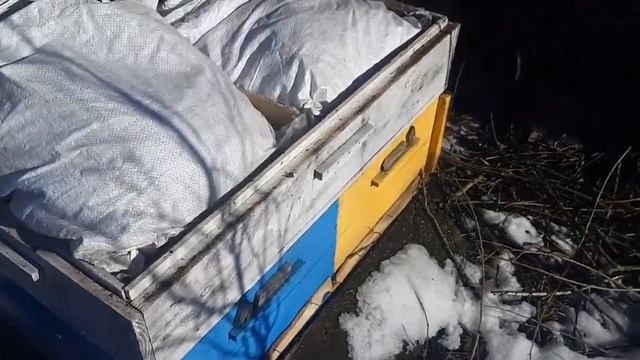 Зимовка 10 кассетных лежаков для двухсемейного содержания пчёл смотреть онлайн