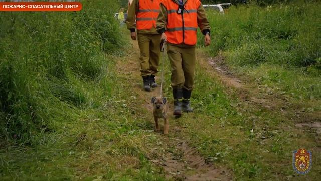 Учения по оказанию помощи пострадавшим в природной среде смотреть онлайн