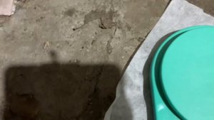 Мало кто знает как заменить защиту спиц на велосипеде