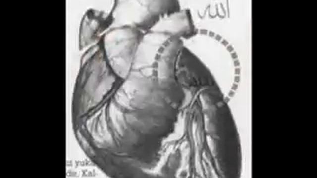 Allah rizasi icin izleyin смотреть онлайн