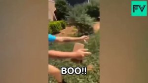 ? NEW ? Смешные видео _ Падения людей _ Новые приколы