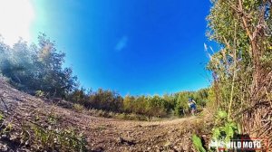 Регулировка и проверка подвески GAUDI от  (WildMoto).