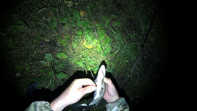 ЛОВЛЯ ЛЕЩА В ГРОЗУ/ОБУСТРОЙСТВО ЛАГЕРЯ/СОЛИДНЫЙ УЛОВ/FISHING WITH THE NIGHT/STORM/SHELTER...