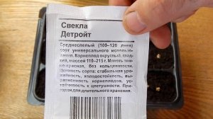Как вырастить раннюю свёклу в теплице | Сею дома семена свёклы в кассету на рассаду.