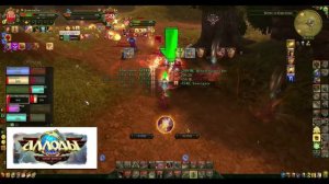 АЛЛОДЫ 7.0.2 БИЛД ЖРЕЦ ХИЛ ПВП