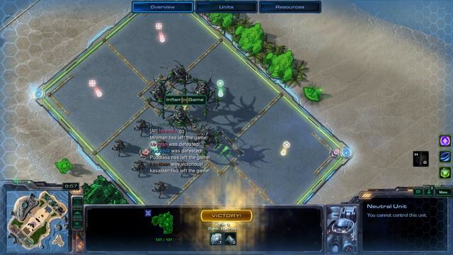 HYPERION SUPPORTS THE PROTOSS FLEET - Raynor Weekly Brawl [SC2 Direct Strike] смотреть онлайн
