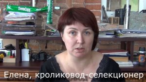 Опыт работы с ЛПХ "Моряк"