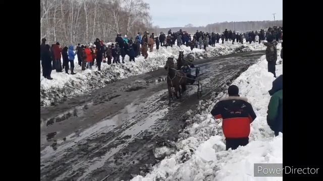 #наши_кони, #припас, #скачки   Масленица Сибирь 29 Февраля 2020 .  Скачки -  кони пять лет и выше .