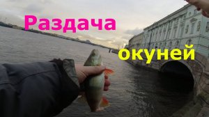 #489 #StreetFishing | Раздача окуней #1 |