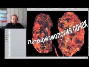 Патофизиология почек - введение
