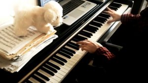 Мой ласковый и нежный зверь - Евгений Дога