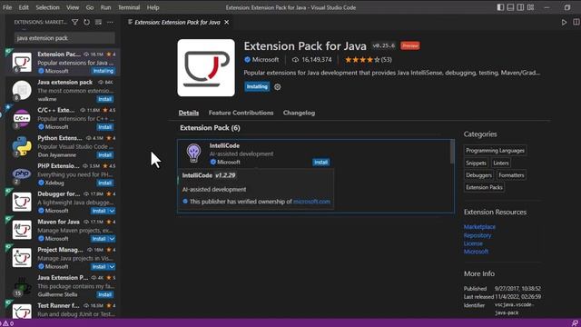 How to setup visual studio code for running JAVA programs