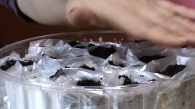 Пикировка рассады томатов. смотреть онлайн