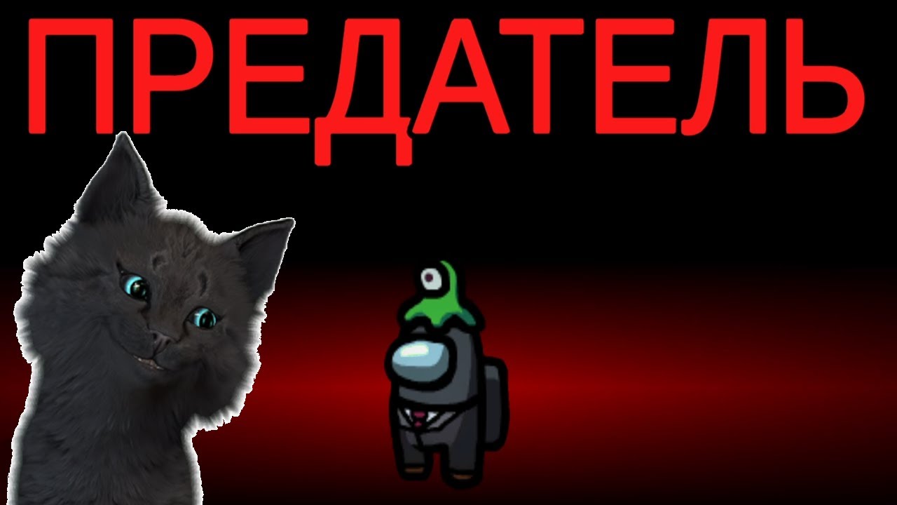 КТО ПРЕДАТЕЛЬ ? СУПЕР КОТ И СОБСТВЕННАЯ КАРТА В АМОНГ АС ? ЧУДЕСА В КОСМОС ? Among Us ?