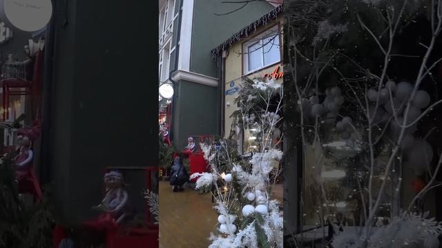 Новогодний Зеленоградск| Балтийское море Калининградская область 1.01.2024