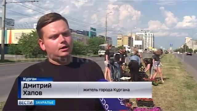 До конца года на улицах Кургана высадят более ста саженцев деревьев. Город могут смотреть онлайн