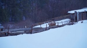 ВЕСНА В УРАЛЬСКОЙ ДЕРЕВНЕ _ ДОРОГА РАСКИСЛА _ ПОМИДОРЫ ВЫМАХАЛИ