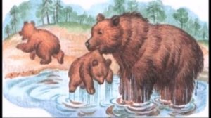Рассказ Виталия Бианки «Купание медвежат»
