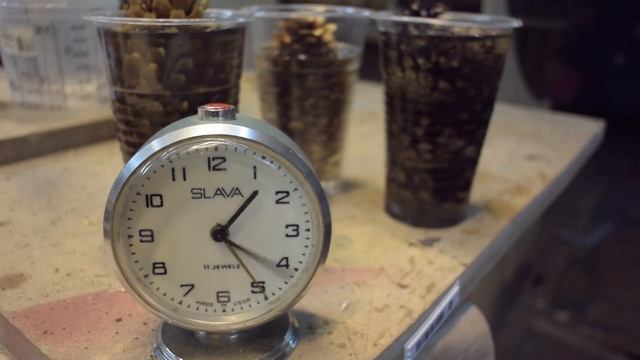 Богородский нож из бритвы и шишки смотреть онлайн