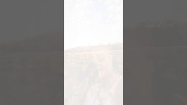 Дарья Храмова - Всё пройду 🧡🤍💙 Клип от небо любви