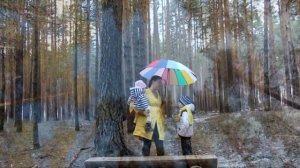 Тропа здоровья Березовский