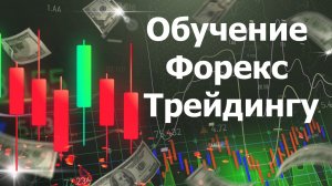 Обучение Трейдингу Форекс