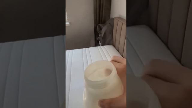 Удаления пятен на матрасе смотреть онлайн