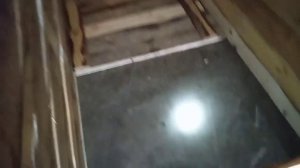 Заселили свиней в новый сарай. Как и что сделано в сарае для свиней Дюрок