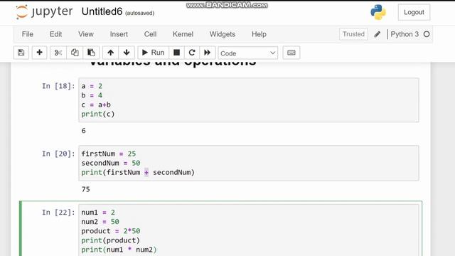 variables and operations | python programming class 03