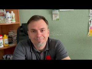 Чем полезен Триходермикс для вашего сада-огорода