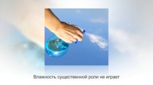 Цветок АЛОЭ (СТОЛЕТНИК) | Домашний доктор у вас на подоконнике | Уход и размножение