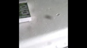 Гигрометр - термометр  для инкубатора