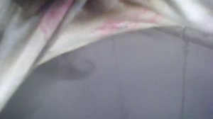 Компрессор для дымогенератора холодного копчения (Простой и доступный 2)