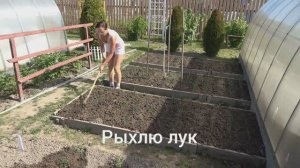 6 соток 24 мая 2024 года Хроника