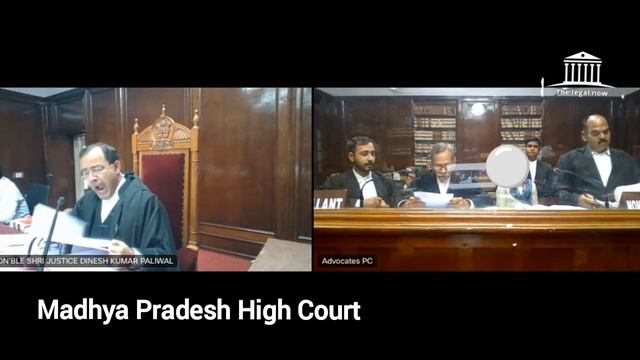 Superb Bail Argument by Senior Advocate in IPC 376. Bail application #judge #legal #law #advocate