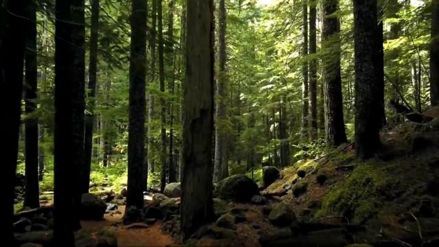 Гарри Поттер и Узник Азкабана смотреть онлайн