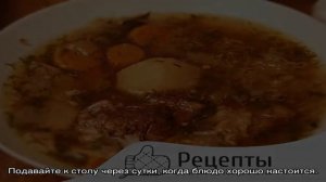 Щи суточные