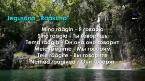 🇪🇪 Осваиваем мир действия на эстонском: Глаголы в фокусе уроков по языку! Часть 1