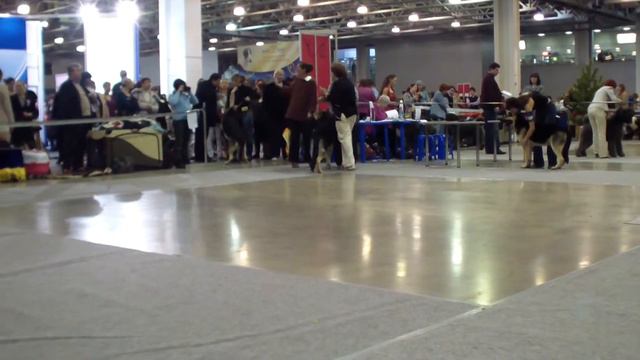 HDV 0325 смотреть онлайн