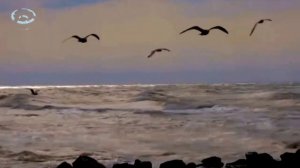 Ты украшаешь этот мир