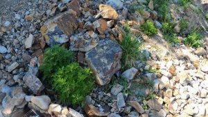 Шашлыки на Патрокле !!.mp4