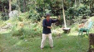 Shibashi - The 18 movements with instruction; Tai Chi/Qigong.