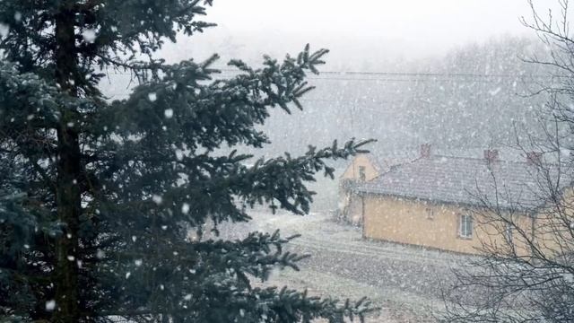 Гороскоп на неделю 8-14 Января 2024 Овен Телец Близнецы Рак