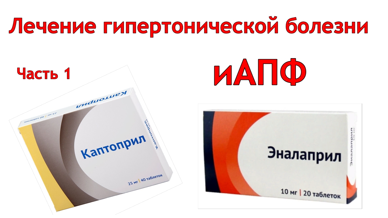 Лечение гипертонической болезни. иАПФ Часть 1